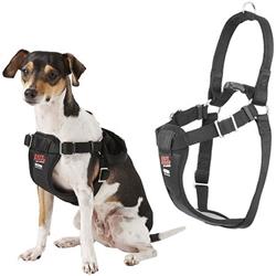 COASTAL Easy Rider Car Harness - S - Black