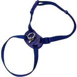 COASTAL Size Right! Cat Harness 3/8x12-18 Blue