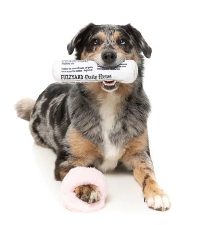 FuzzYard Fetch My Slippers & Paper Plush Dog Toy 2pk