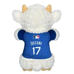 Extra Product Image