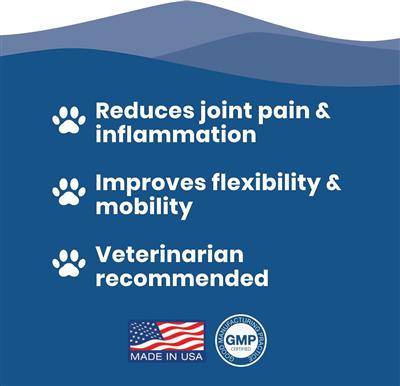 Paramount Pet Health Extra Strength Liquid Hip & Joint for Dogs
