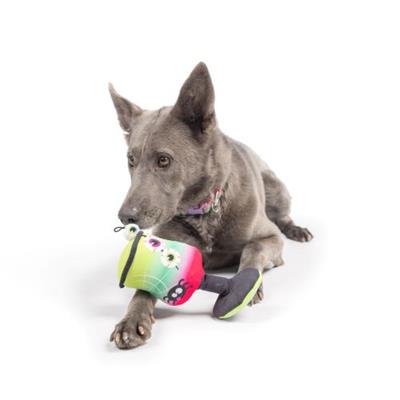 Witch's Potion Dog Toy