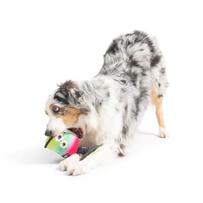 Witch's Potion Dog Toy