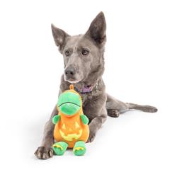 Extra Product Image