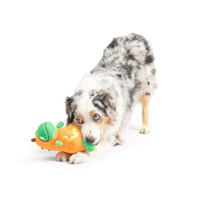 Dino-Lantern Dog Toy