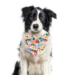 Extra Product Image