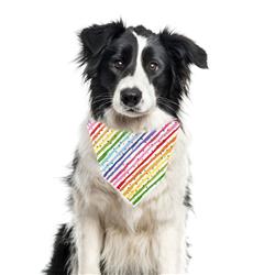 Extra Product Image