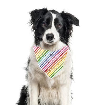 Birthday Bandana |  Birthday Dog Bandana | Happy Birthday Bandana | Party Bandana