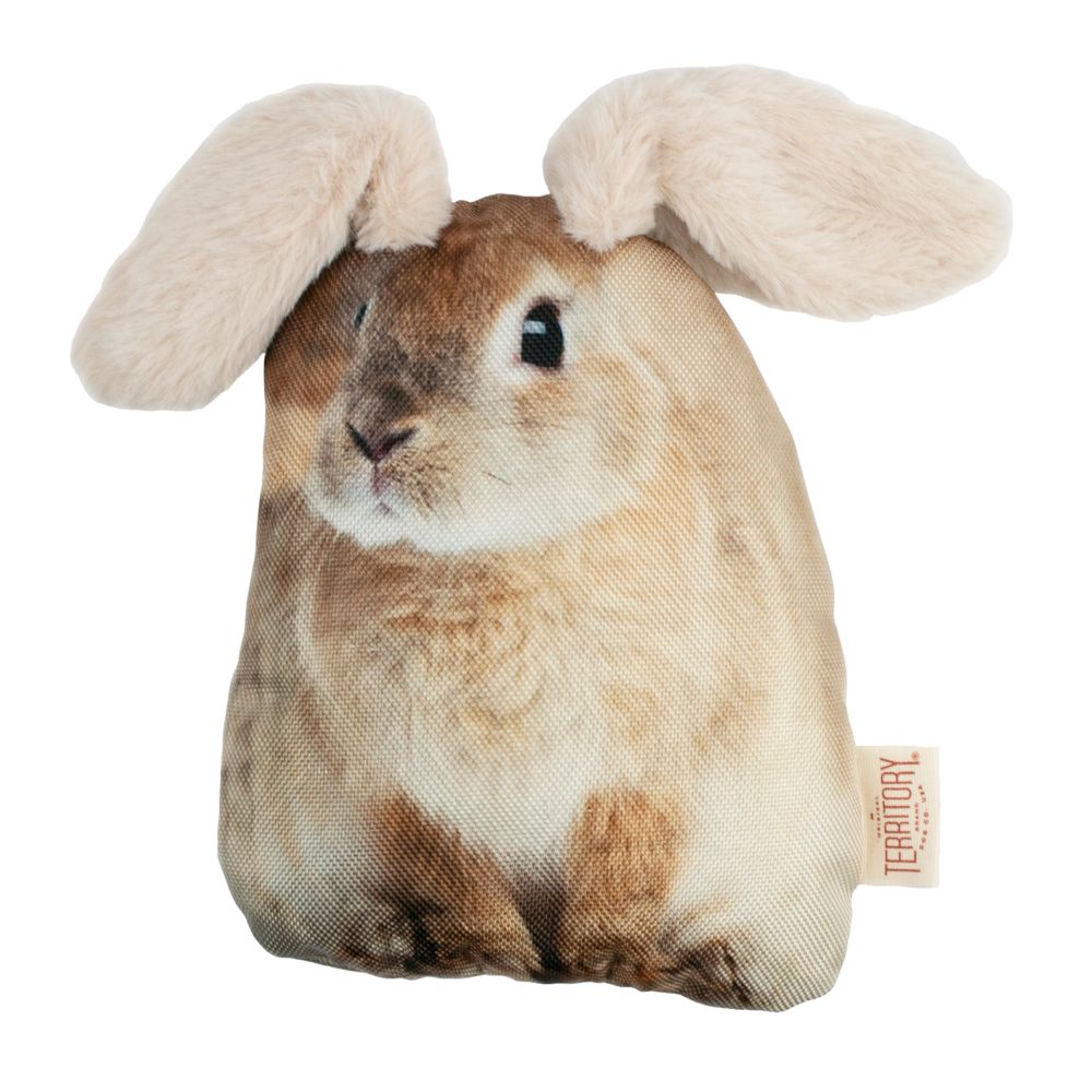 Floppy Rabbit Dog Toy