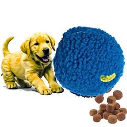 Extra Product Image