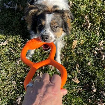 GOAT Natural Rubber Tug Toy - 11"