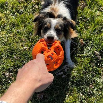 GOAT Sport Flex-a-ball Dog Toy - 5"
