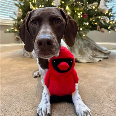 Tall Tails Animated Cardinal Dog Toy