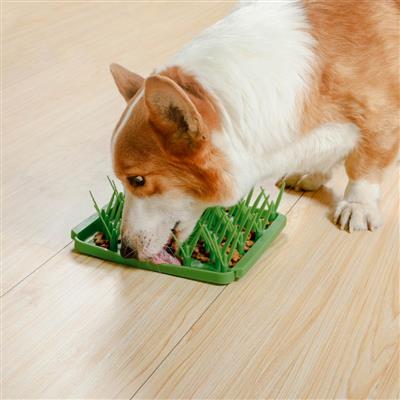 Tall Tails Grassy Meadow Foraging Mat