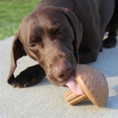 Tall Tails Shroom Chew Dog Toy