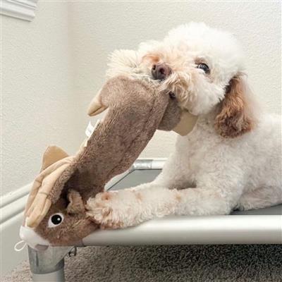 Tall Tails Stuffless Squirrel - 16" Dog Toy