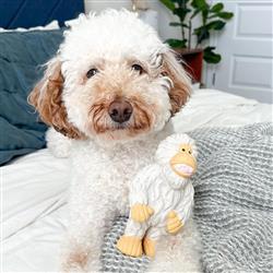 Extra Product Image