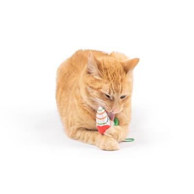 Christmas Stocking Flinger Cat Toy