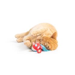 Extra Product Image