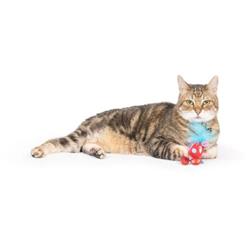 Extra Product Image