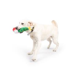 Extra Product Image