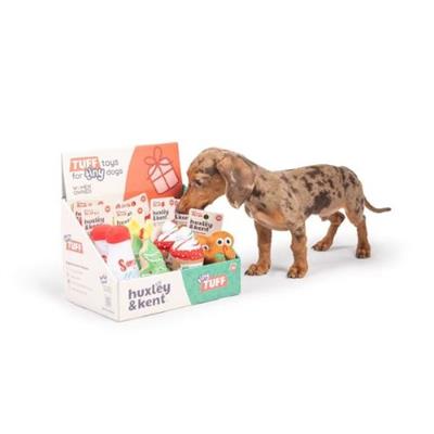 Tiny Tuff Pop Box Christmas Treats (12pcs)