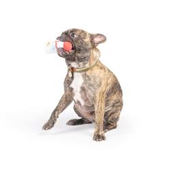 Extra Product Image