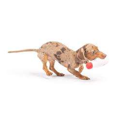 Extra Product Image