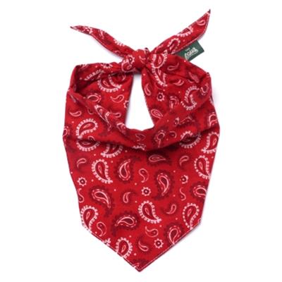 Dallas Dog Bandana