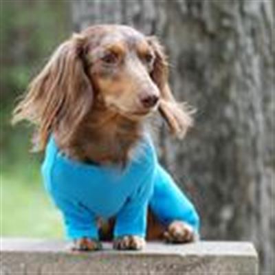 Sweet Dreams Thermal Dog Pajamas - Blue
