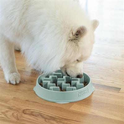 Fun Feeder Notch Sge LG