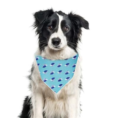 Nautical Bandana | Beach Bandana | Summer Bandana |  Lake | Dog Bandana | Sea Turtle