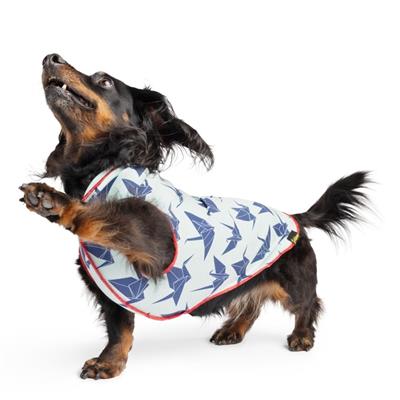 Limited Edition Sun Tees - PREBOOK