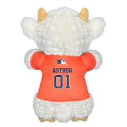 Extra Product Image