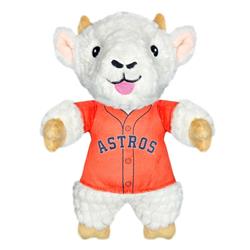 Extra Product Image