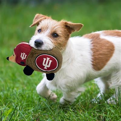 Indiana Plush Hedgehog Toy