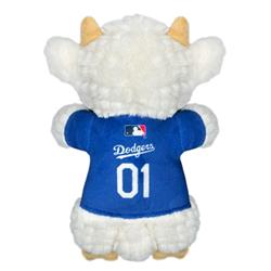 Extra Product Image