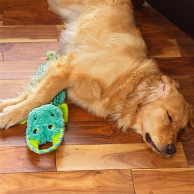 Ropiez Dragon Mlt LG