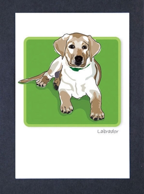 Labrador - Pup - Grrreen Boxed Note Cards