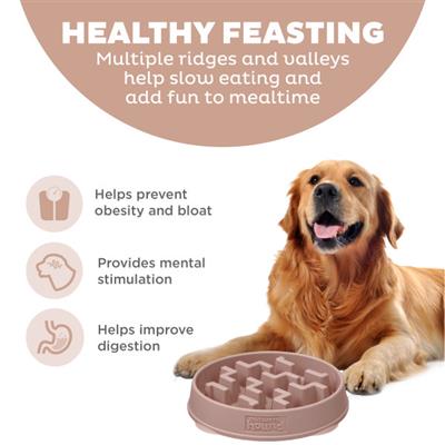 Fun Feeder Notch Drs LG