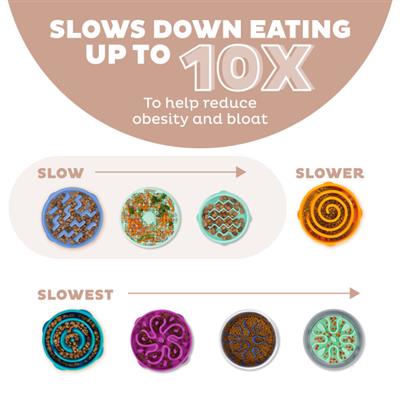 Fun Feeder Notch Drs LG