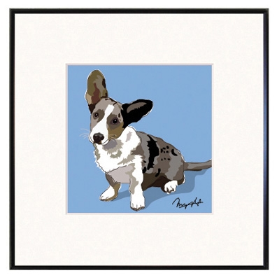 Framed Print: Welsh Corgi, Cardigan