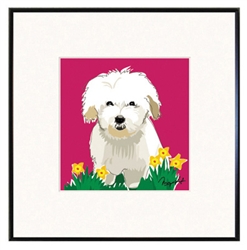 Framed Print: Coton de Tulear