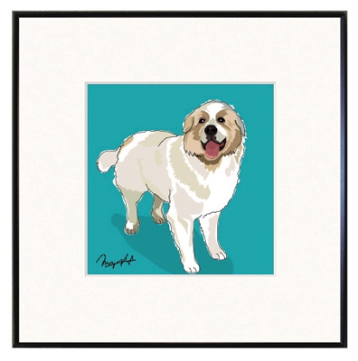 Framed Print: Great Pyrenees