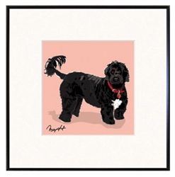 Framed Print: Portuguese Water Dog