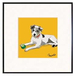 Framed Print: Jack Russell Terrier - Wire Coat