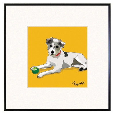 Framed Print: Jack Russell Terrier - Wire Coat