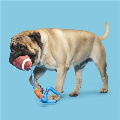 BARK The Whole Canine Yards Plush Dog Toy