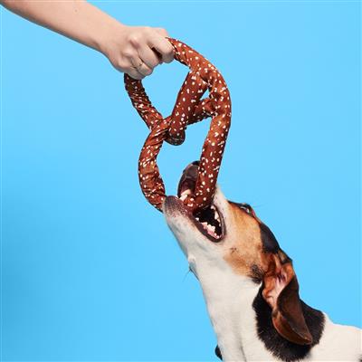 BARK Paula's Park Slope Pretzel Plush Dog Toy M