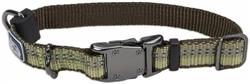 Coastal K9 Explorer 5/8 Inch Adj Collar Fern Green (10-14 Inch)
